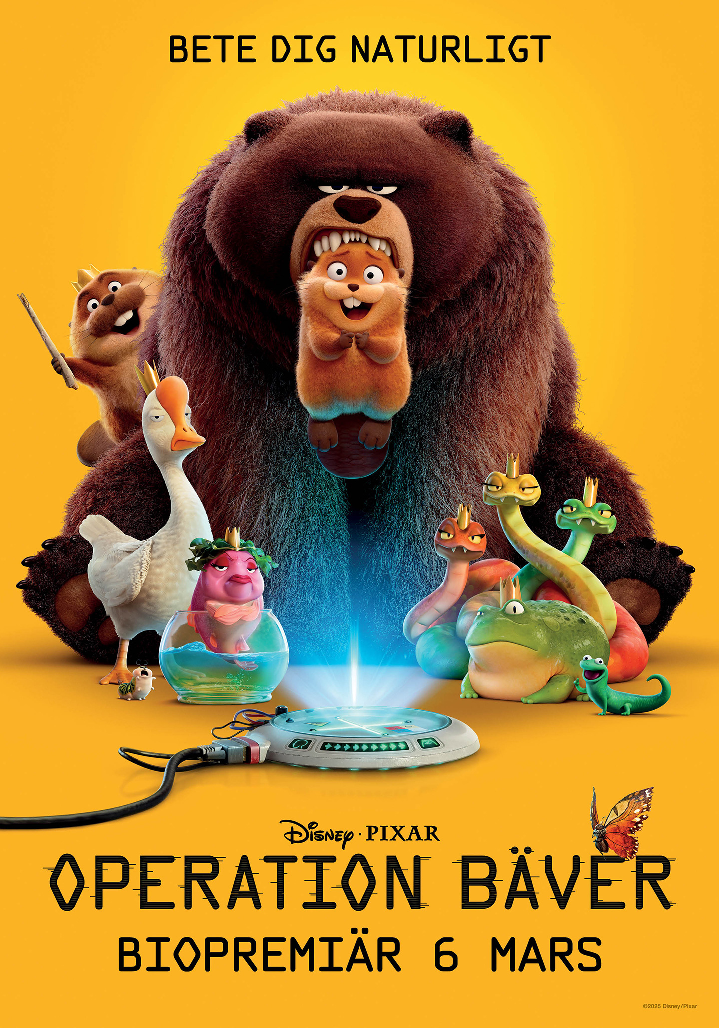 Poster: Operation bäver